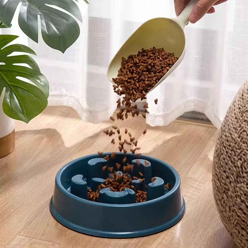 Anti-Choking Slow Feeder and Water Bowl Station